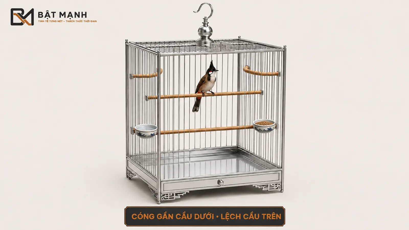 Bố trí cóng gần cầu thẳng dưới và lệch cầu phía trên trong lồng chào mào