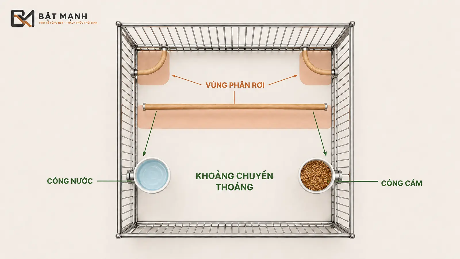 Sơ đồ vùng phân rơi và vị trí cóng nước, cóng cám trong lồng chào mào
