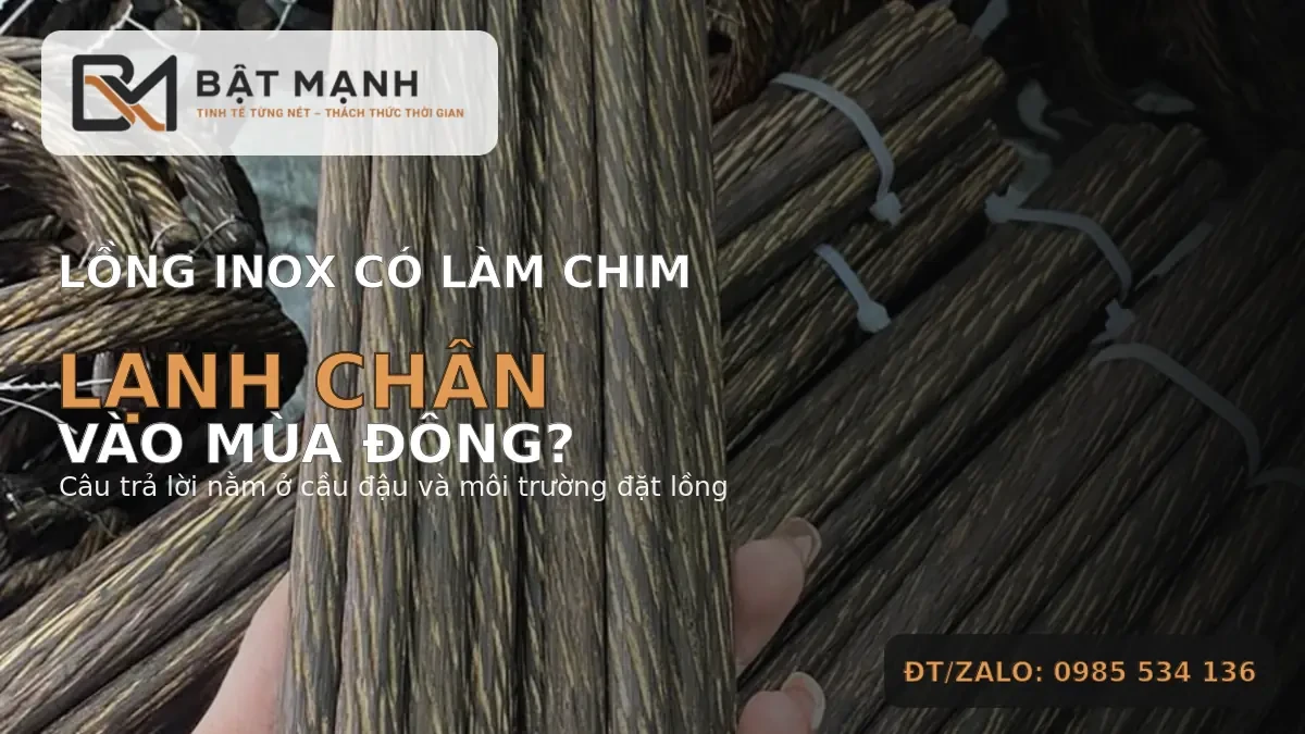 Lồng chim inox có làm chim lạnh chân vào mùa đông không