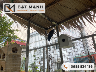 Chim và hộp tổ trong lồng avi sân vườn Inox Bật Mạnh