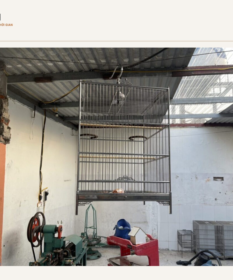 Lồng inox 304 nuôi khiếu, chòe, sáo 45 × 65 cm