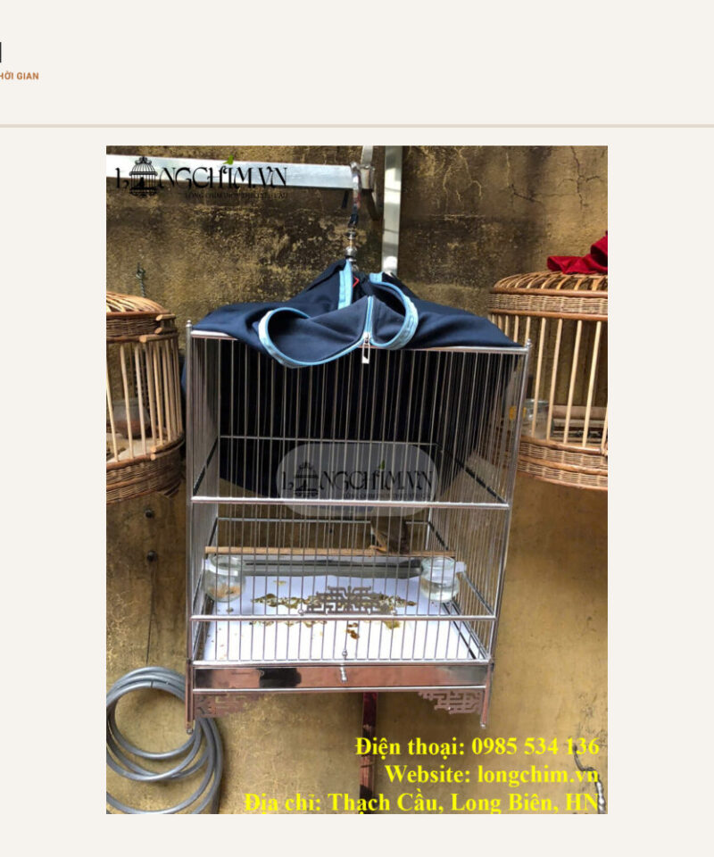 Lồng vuông inox 304 rộng 40 cm – 25 nan